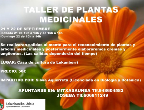 Curso de plantas medicinales (intensivo fin de semana)